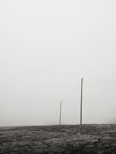 Brouillard d'hiver, 2014